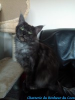 /album/gemma-des-diamants-de-lys/gemma-5-jpg/